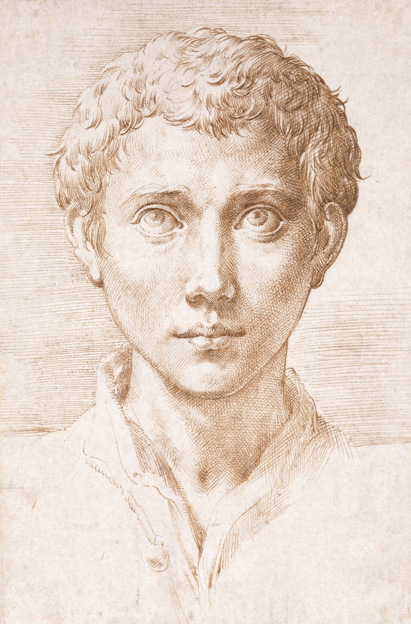 Hlava mladého muže, který vzhlédl, od Parmigianino