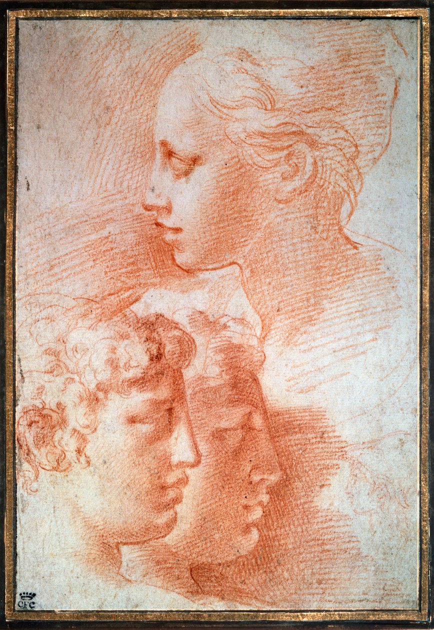 Studie hlav, c1527 od Parmigianino