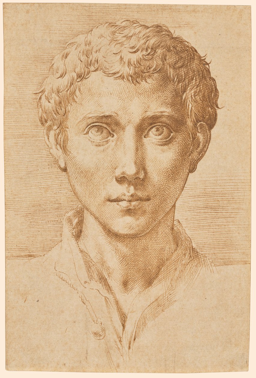 Hlava mladého muže od Parmigianino