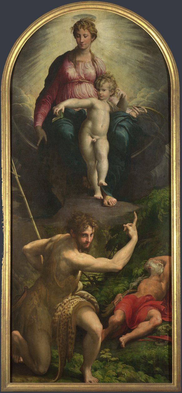 Madona s dítětem se svatými Janem Křtitelem a Jeronýmem, 1527 od Parmigianino