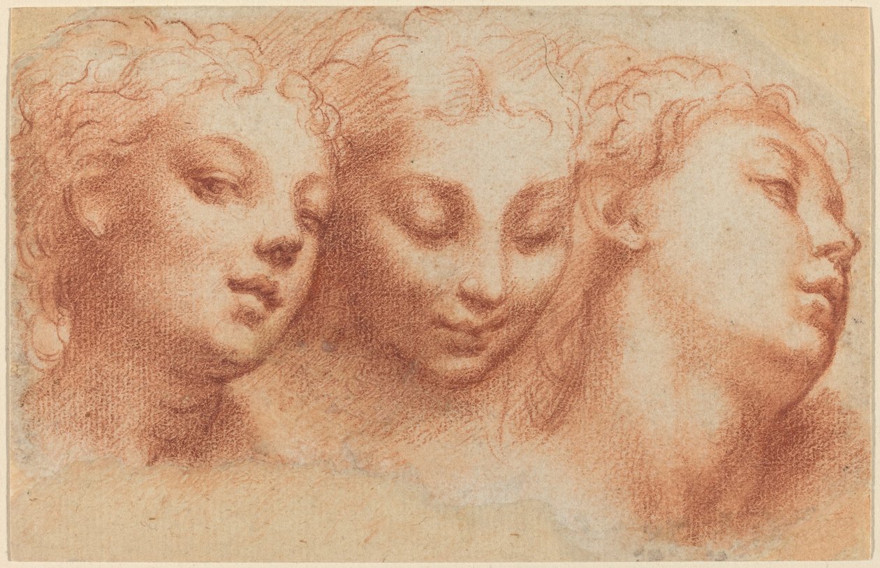 Tři ženské hlavy od Parmigianino