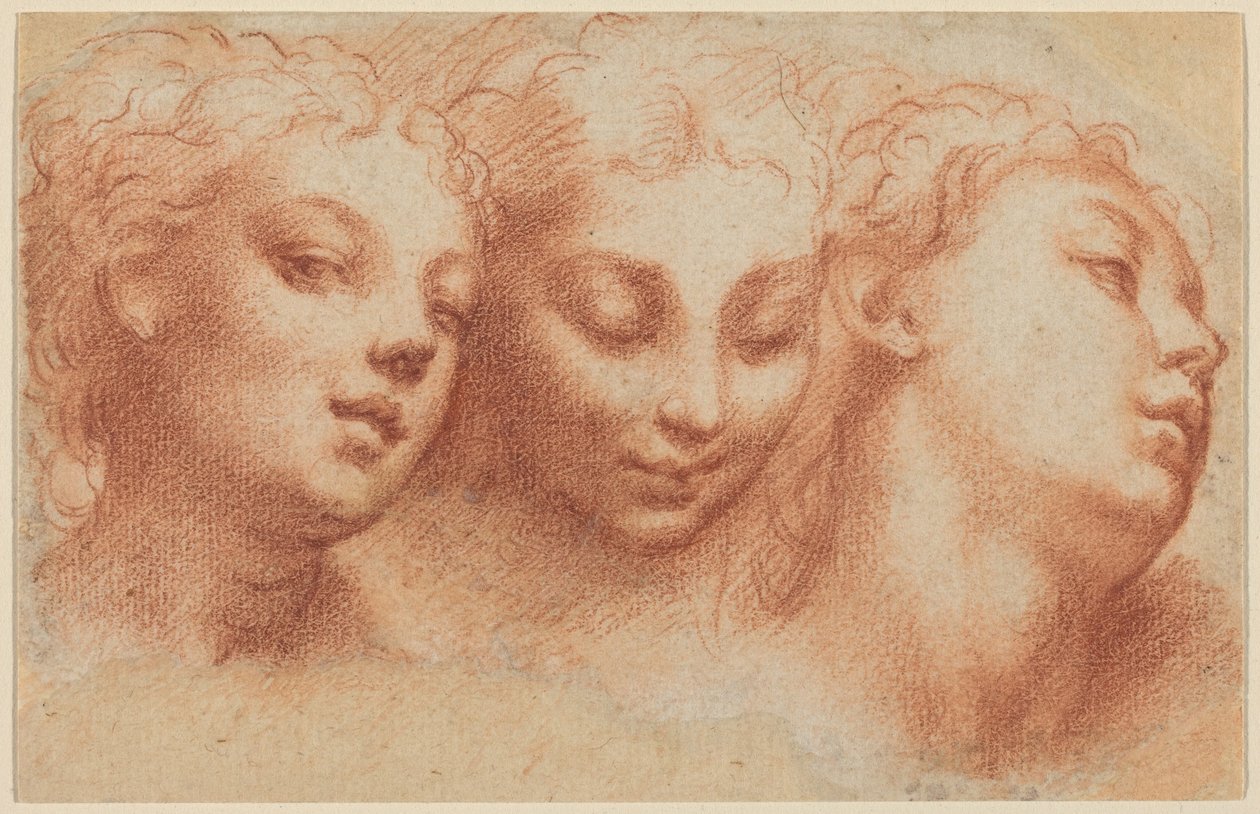 Tři ženské hlavy od Parmigianino