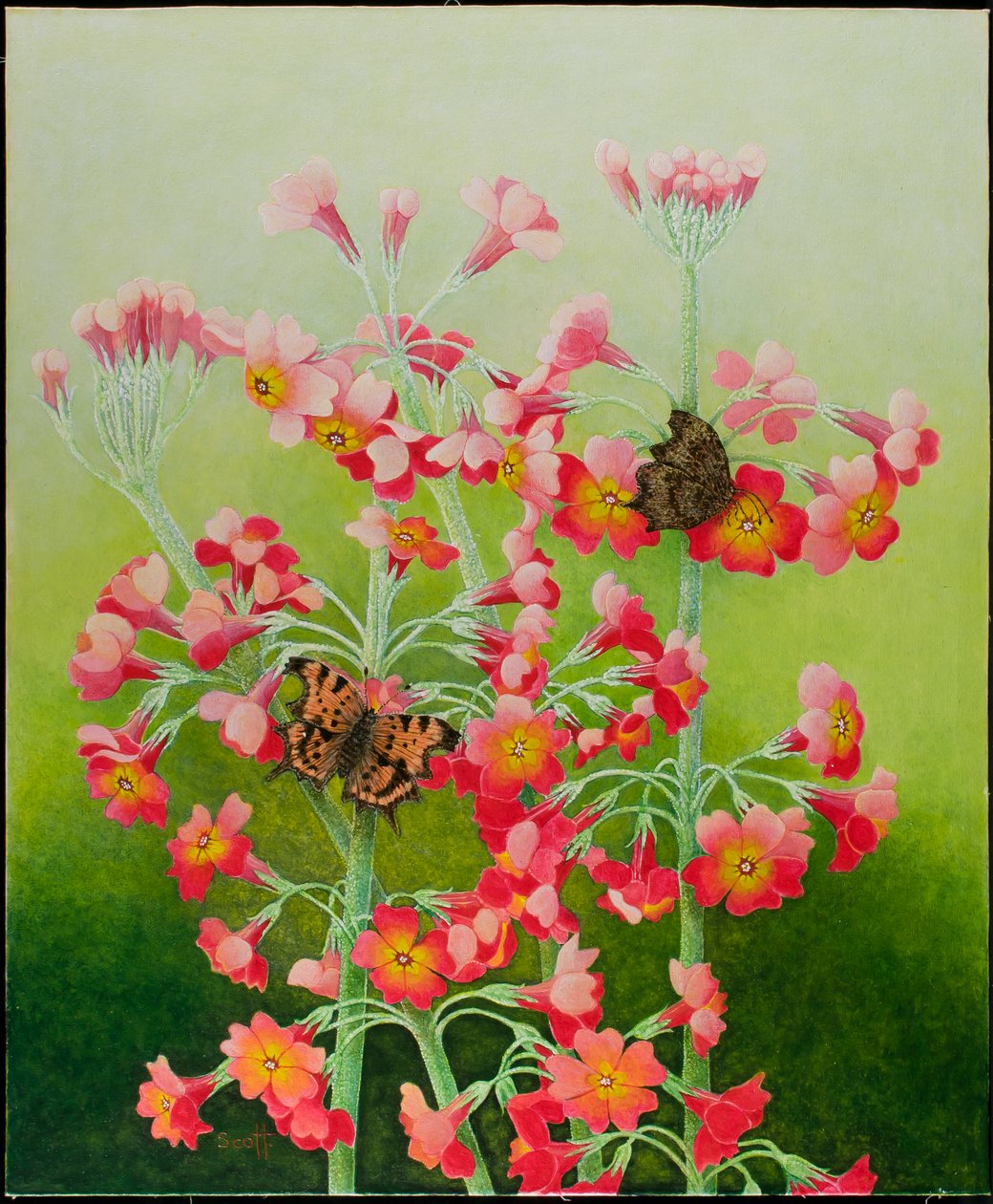In the Pink, 2011 (akryl na kaliku) od Pat Scott