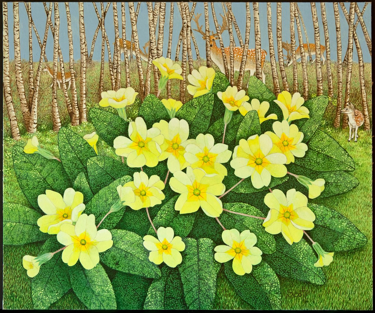 Looking Hopeful, 2011 (akryl na kaliku) od Pat Scott