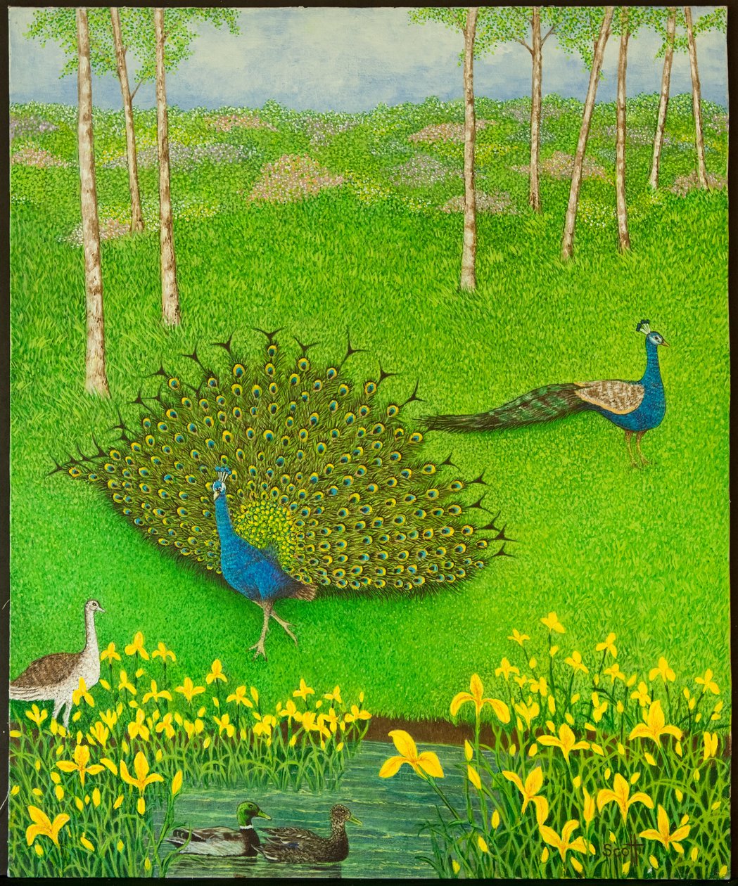 Winning Ways, 2012 (akryl na papíře) od Pat Scott