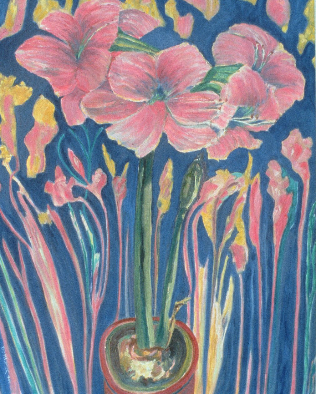 Amarylis (olej na plátně) od Patricia Contemporary Artist Eyre