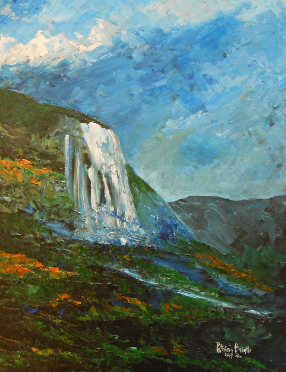 Caskad home, 2015 (akryl na umělecké desce) od Patricia Brintle