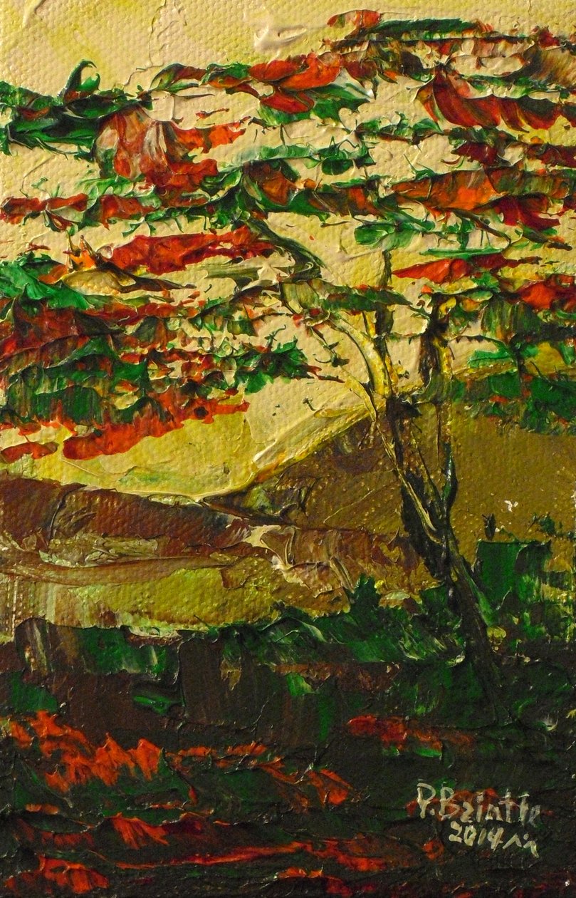 Flamboyant in flower, 2014 (akryl na plátně) od Patricia Brintle
