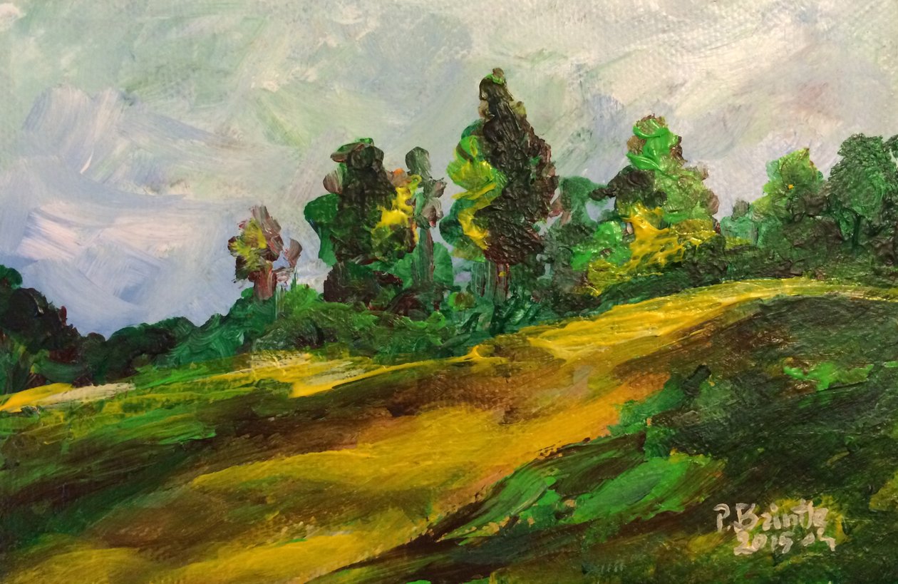 Furcy morning, 2015 (akryl na plátně) od Patricia Brintle