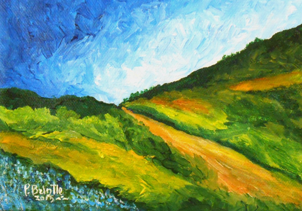 Vers Marmelade, 2015 (akryl na plátně) od Patricia Brintle