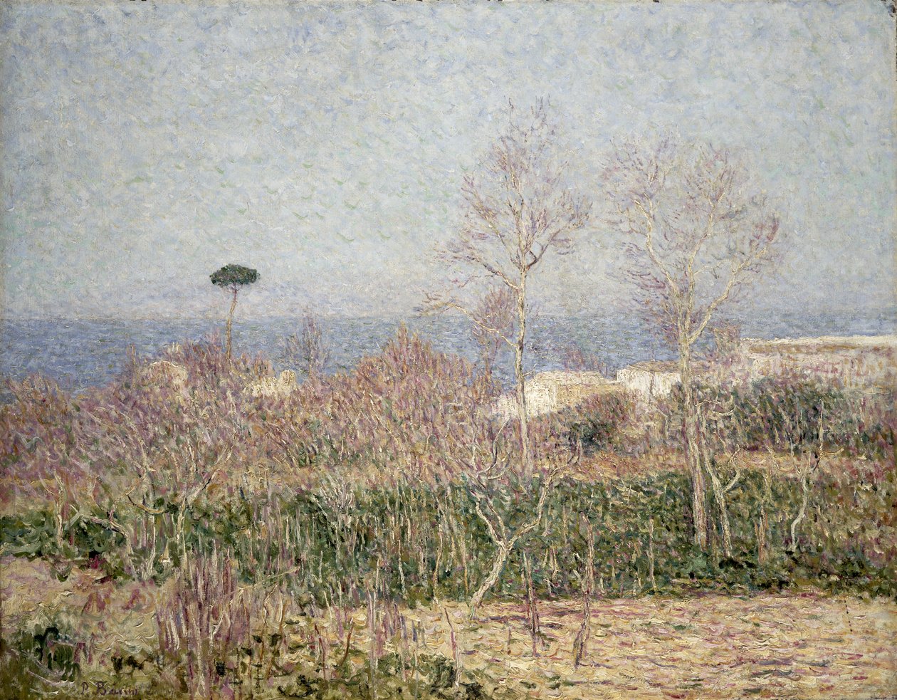 Pobřežní krajina na Capri, 1899 od Paul Baum