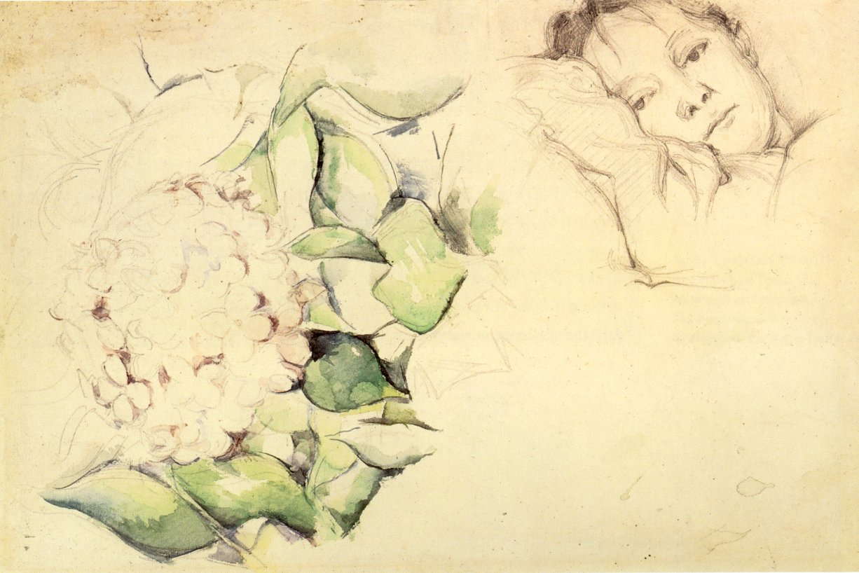 Madame Cézanne s hortenzií od Paul Cézanne