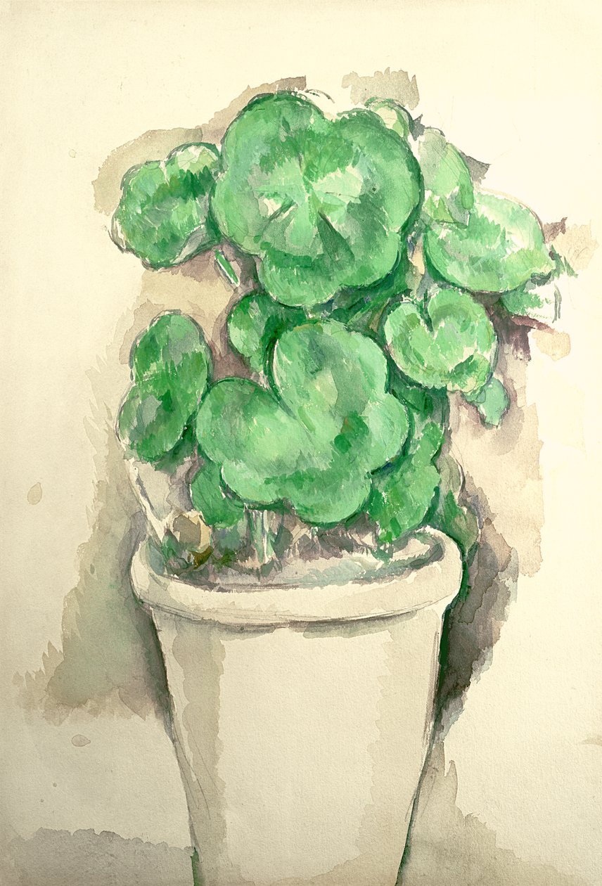 Hrnec muškátů, cca 1885 (tužka a wc na papíře) od Paul Cézanne