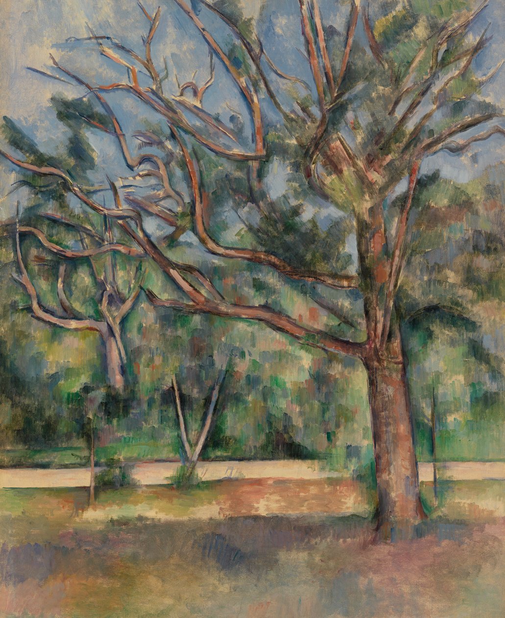 Stromy a silnice, kolem roku 1890 od Paul Cézanne