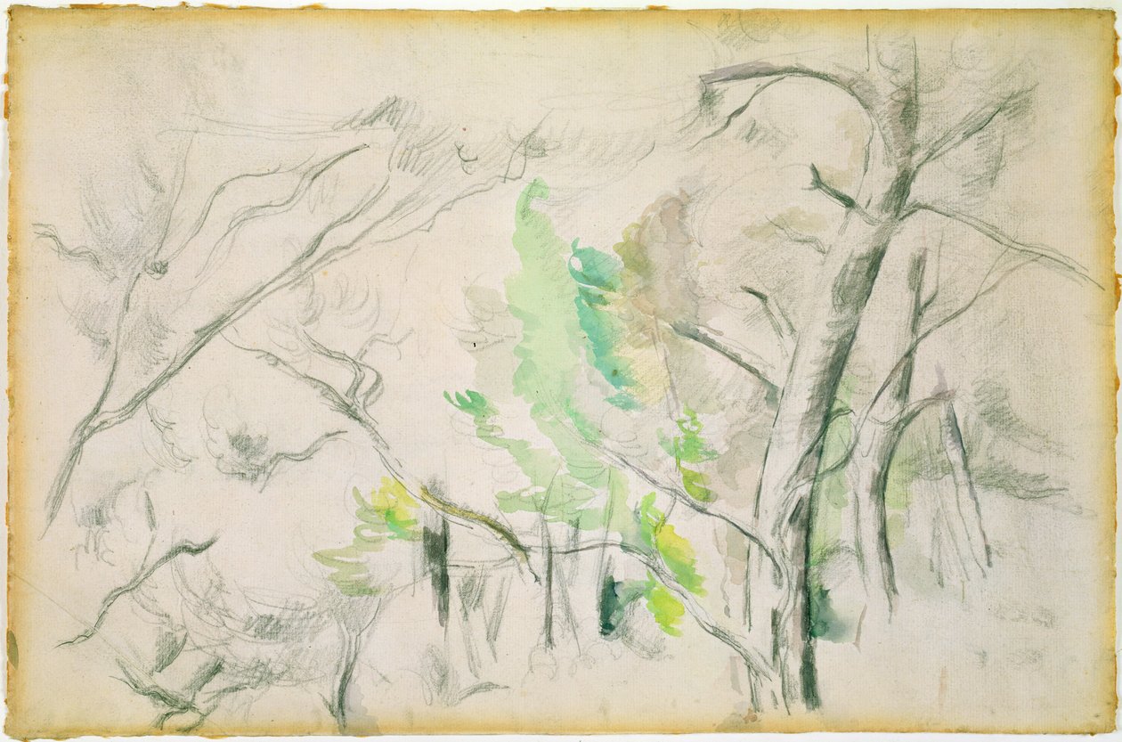 Woodside (Wc na papíře) od Paul Cézanne