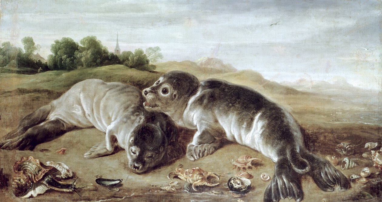 Dva mladí tuleni na pobřeží, kolem roku 1650 od Paul De Vos