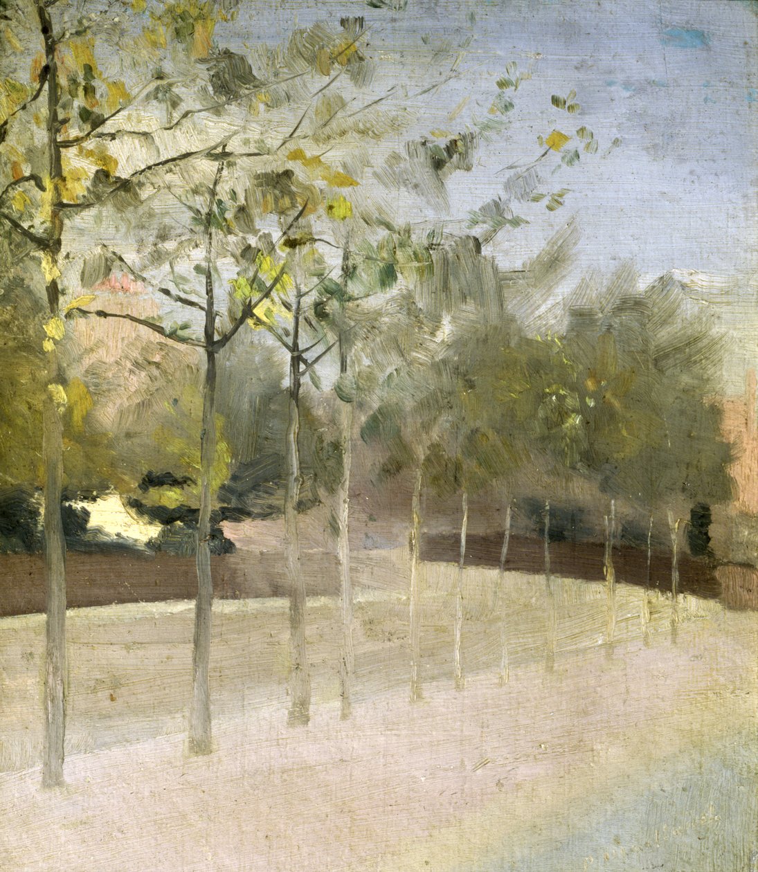 Chelsea Embankment, Platany, 1908 od Paul Fordyce Maitland