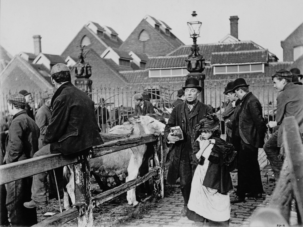 Slepý muž na trhu, cca 1890 (platinový tisk) od Paul Martin
