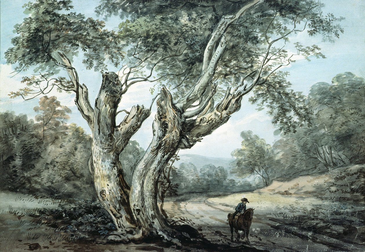 Cesta skrz Windsorský les (akvarel) od Paul Sandby