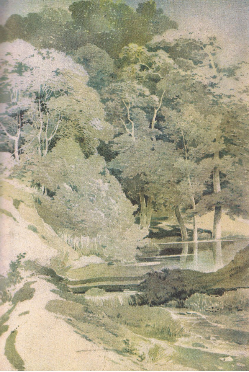 Ancient Beech in Windsor Forest, Nature in Britain vydal Collins, 1946 od Paul Sandby