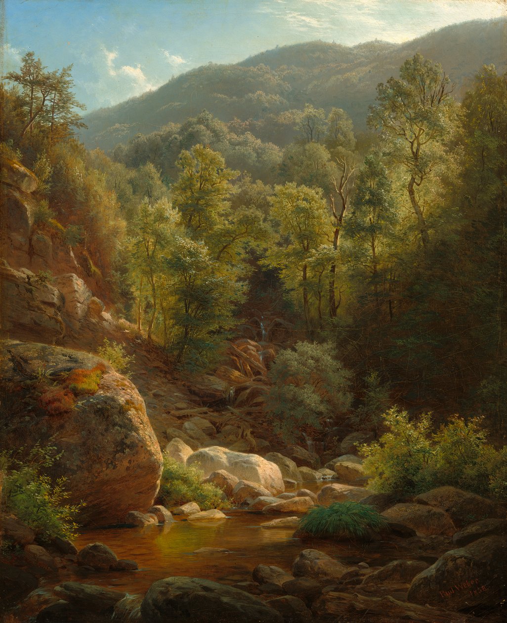 Scéna v Catskills, 1858 od Paul Weber