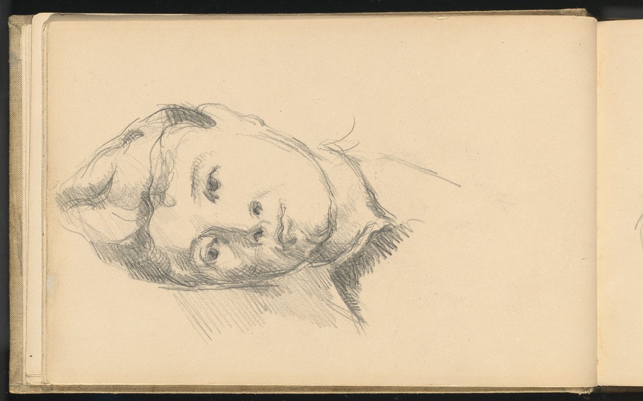 Madame Cezanne od Paul Cézanne