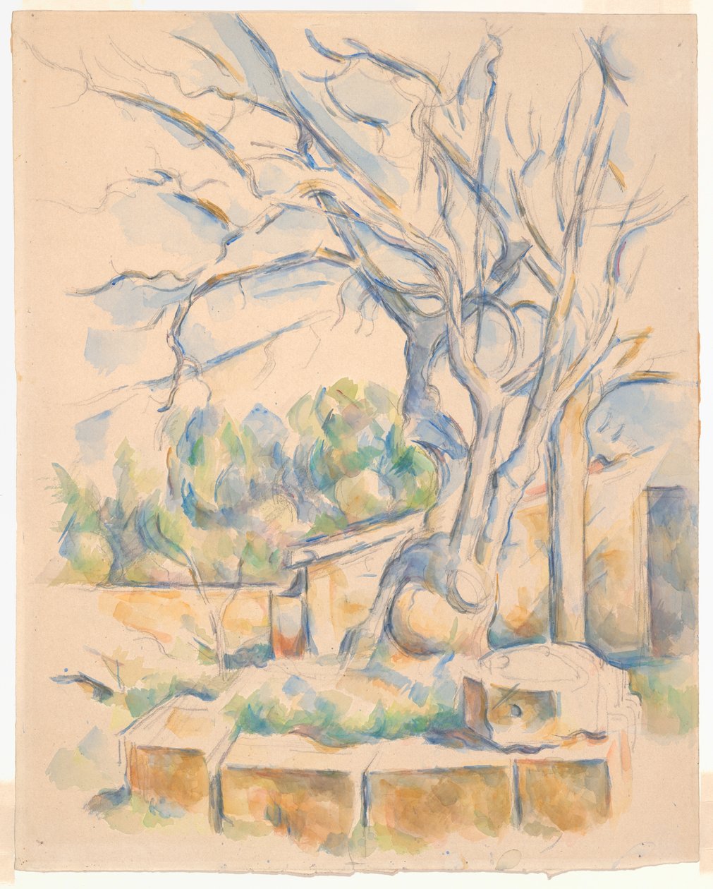 Pistáciovník na Château Noir od Paul Cézanne