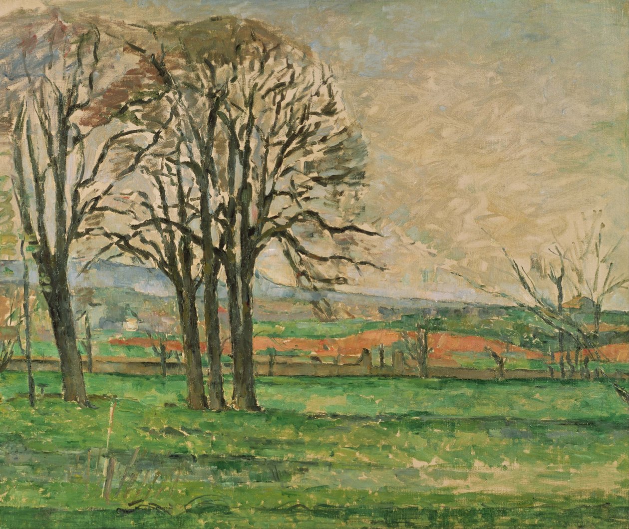 Holé stromy v Jas de Bouffan, 1885-1886 od Paul Cézanne