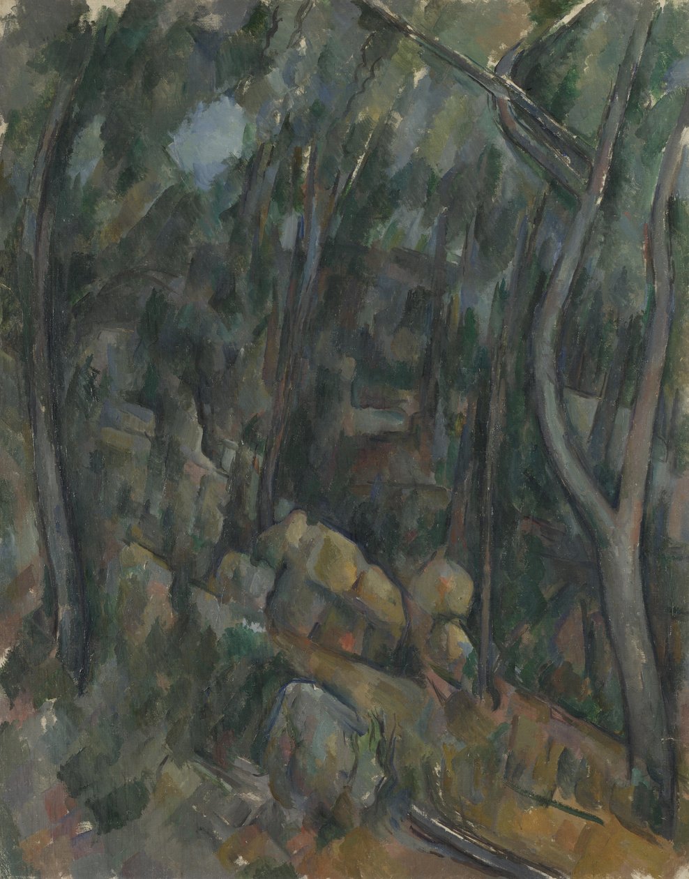 The Grounds of the Château Noir, um 1900-1904 od Paul Cézanne