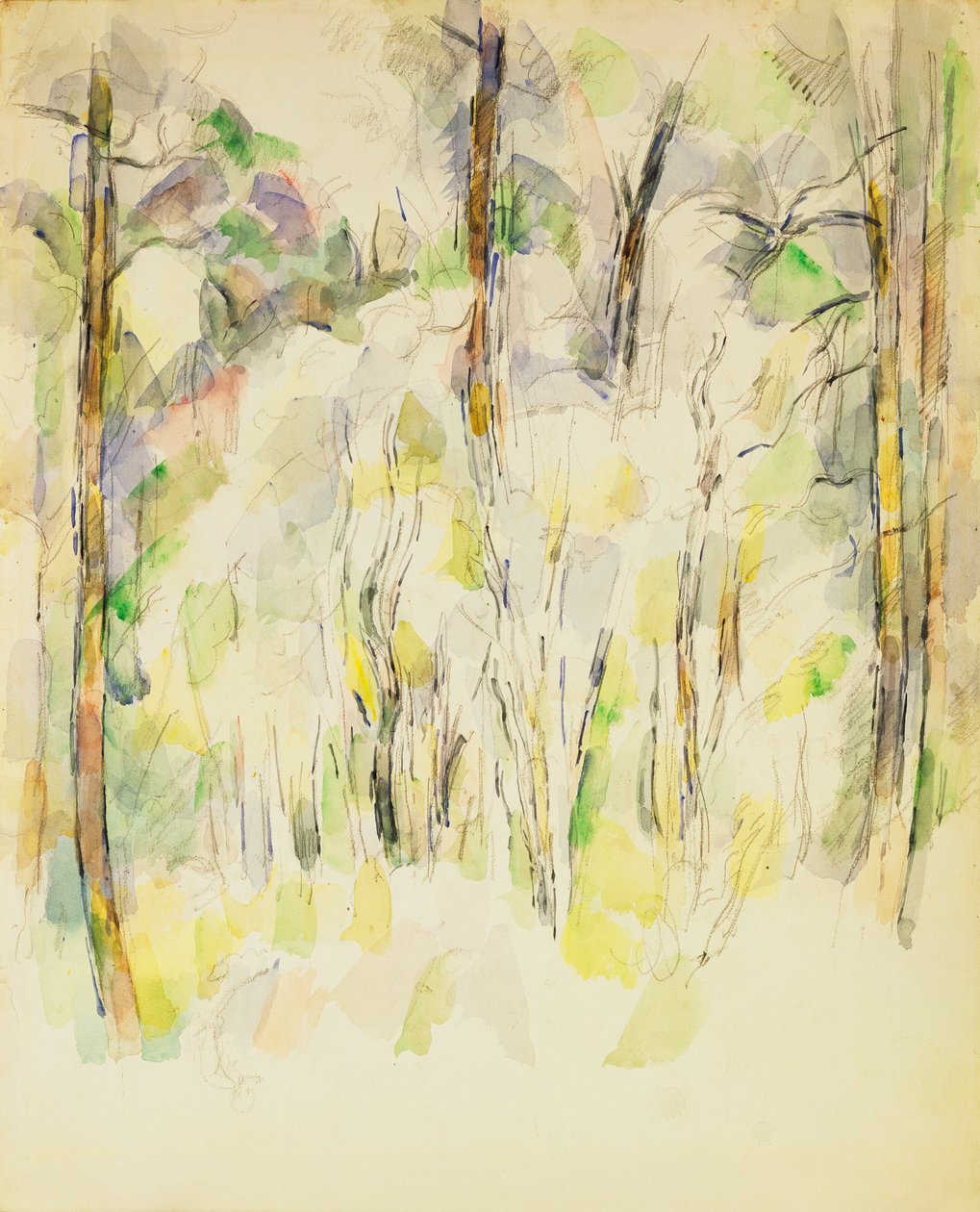 Woodland Scene, c.1900-1904 od Paul Cézanne
