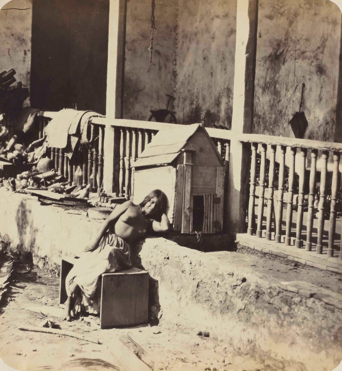 Garvel Martinik pes, 1870. od Paul Emile Miot