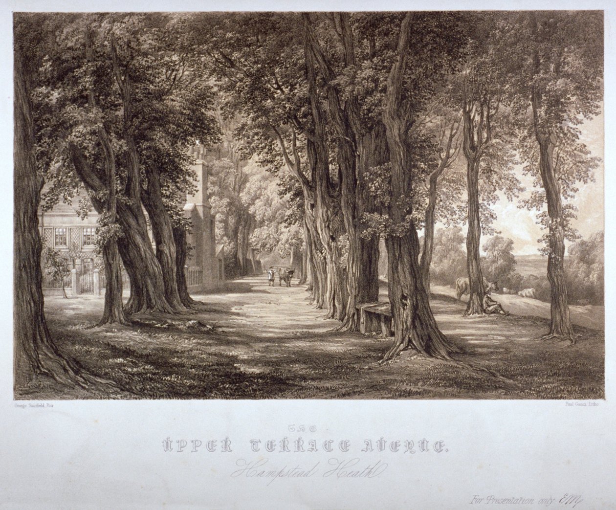 The Upper Terrace Avenue, Hampstead Heath, Londýn, c1840 od Paul Gauci