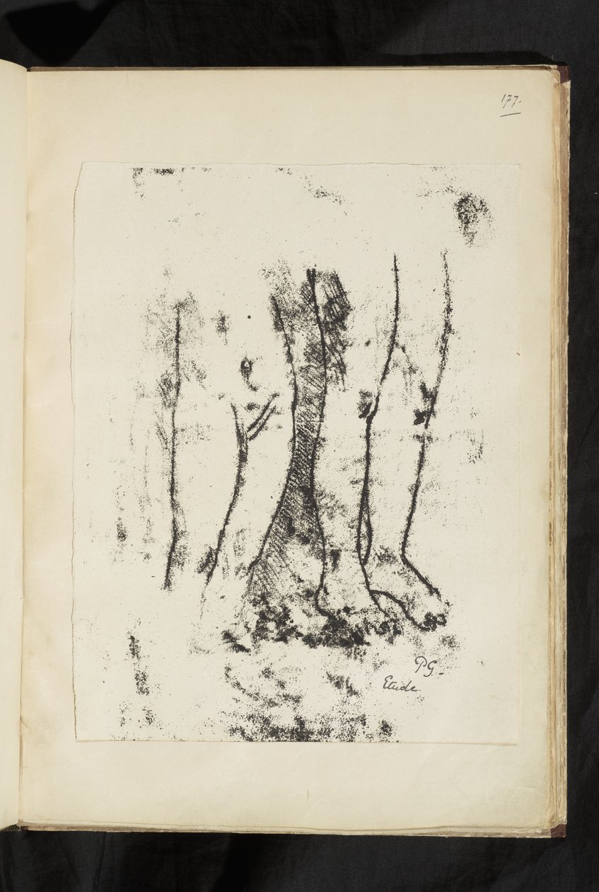 Před a po - Studium nohou od Paul Gauguin