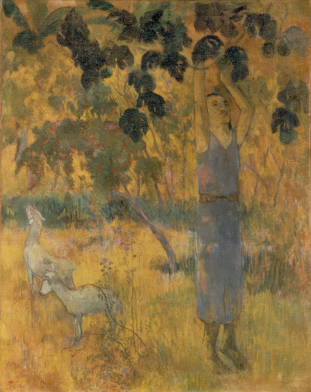 Sklizeň od Paul Gauguin