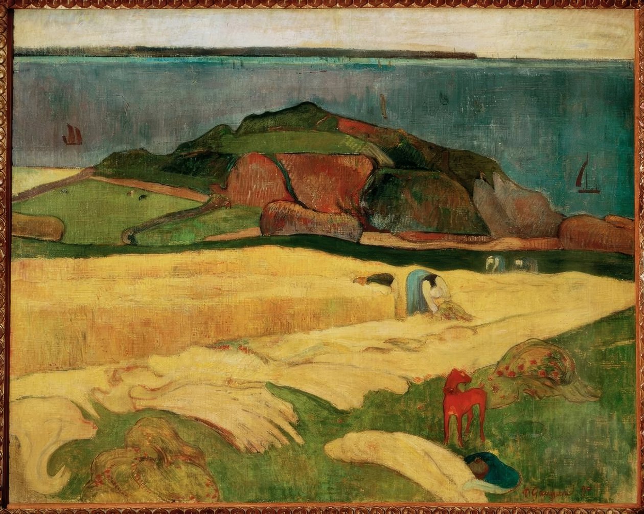 Sklizeň u moře: Le Pouldu od Paul Gauguin