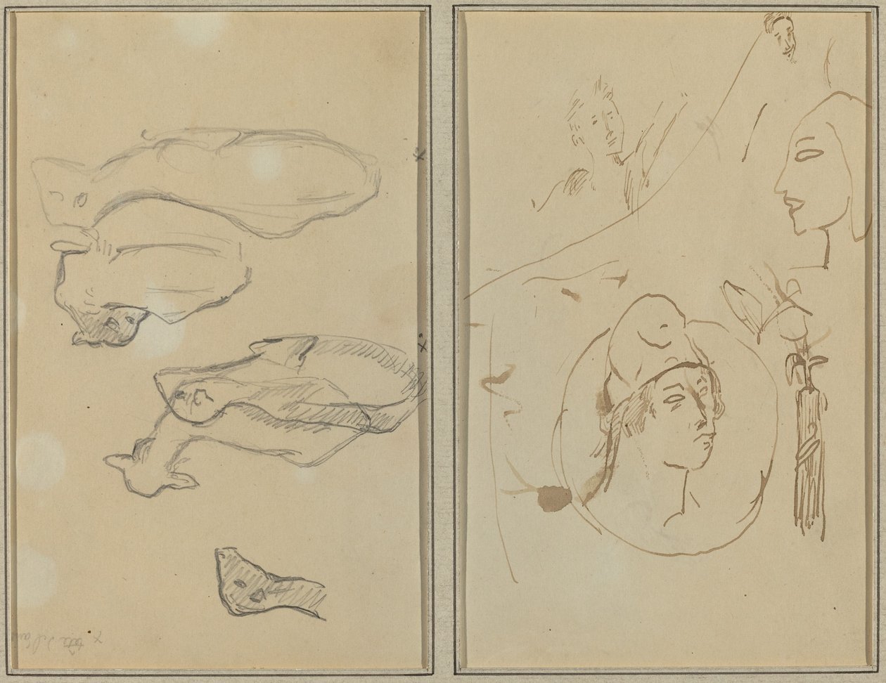 Pět ovcí; Studie čtyř hlav [verso] od Paul Gauguin