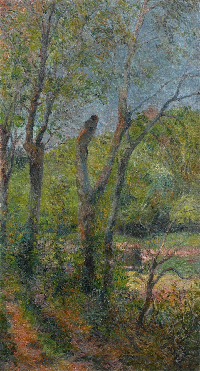 Francouzština:  Les Saules Willows od Paul Gauguin