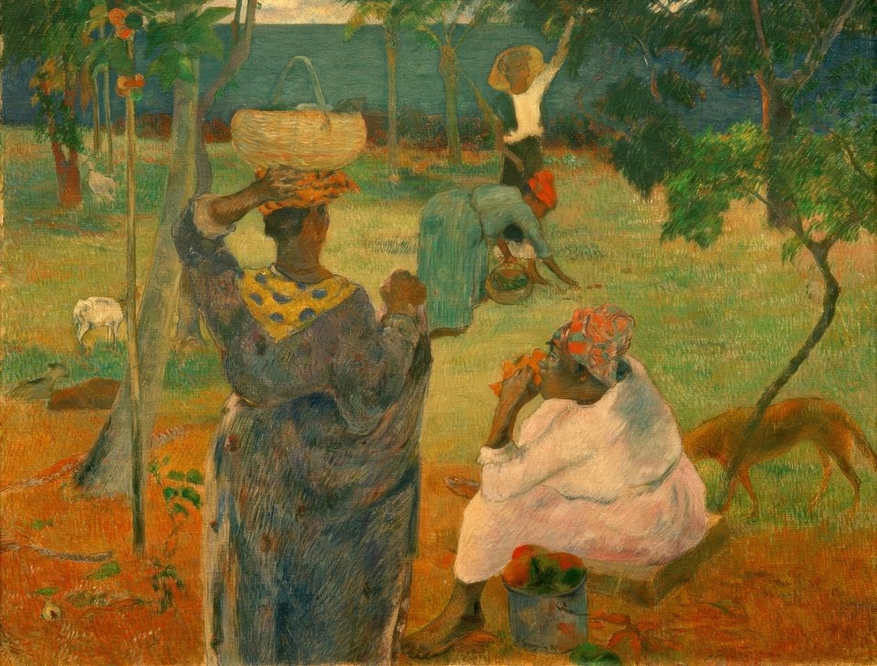 Sběr ovoce (nebo manga) od Paul Gauguin
