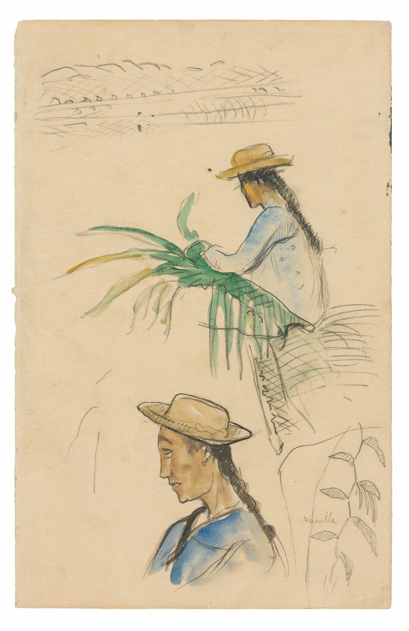 Náčrtky figurek, list Pandanus a rostlina vanilky od Paul Gauguin