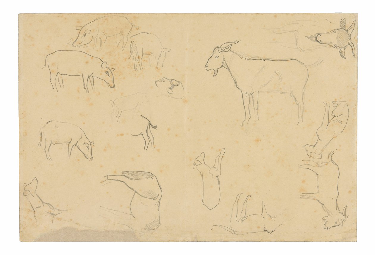 Skici různých zvířat a hlavy (recto), skici hlavy, postavy z profilu, anatomických detailů a zvířat (verso) od Paul Gauguin