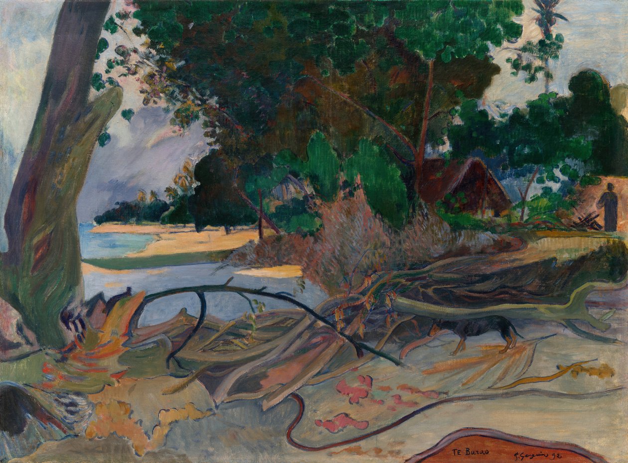 Te burao The Hibiscus Tree, 1892. od Paul Gauguin