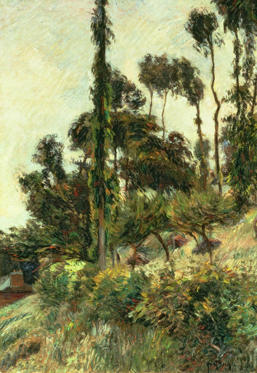 The Side of the Hill, 1884 od Paul Gauguin