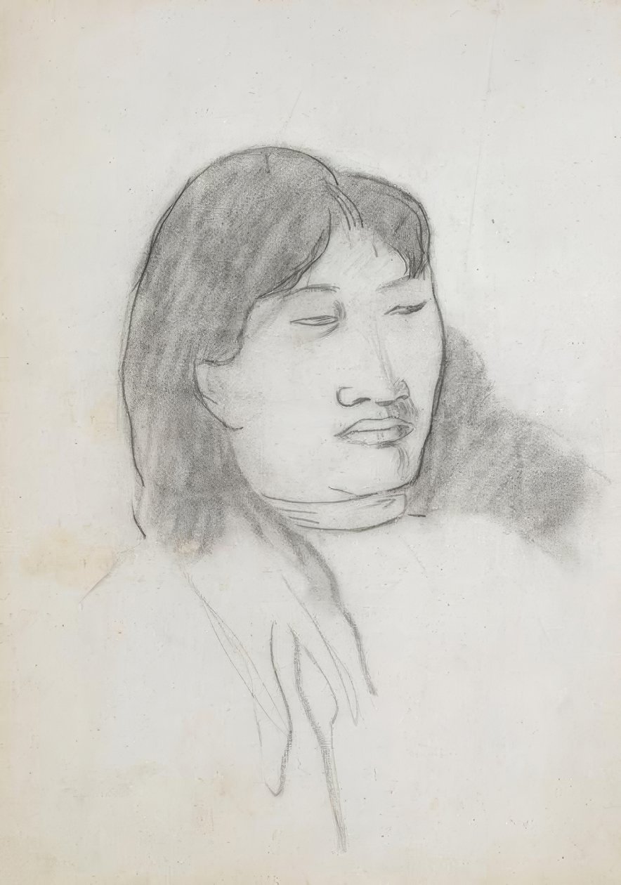 Studie mladého Tahiťana od Paul Gauguin