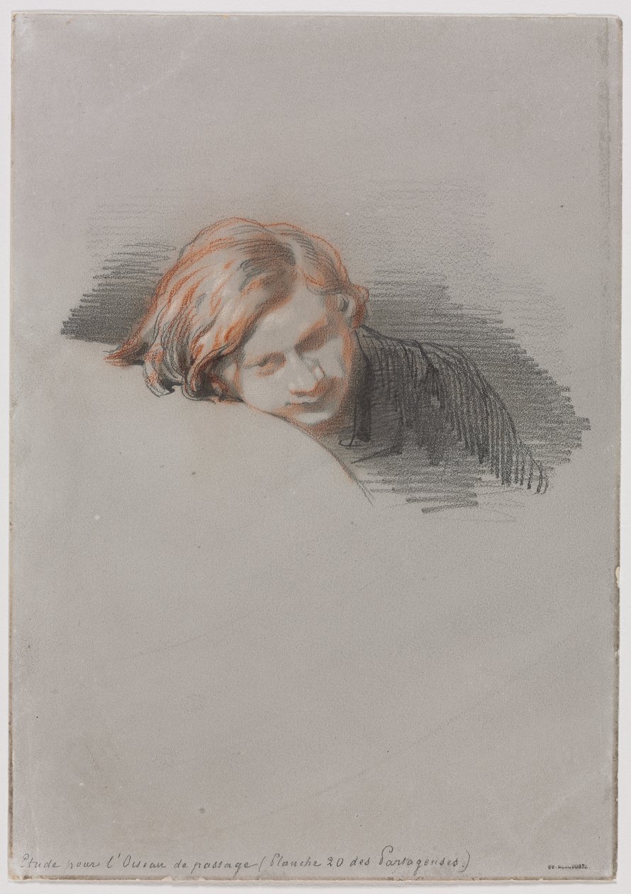 Vedoucí studie mladého muže pro LOiseau de Passage, 1853. od Paul Gavarni