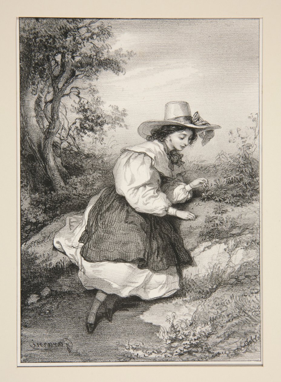 Les Deux Paquerettes. od Paul Gavarni