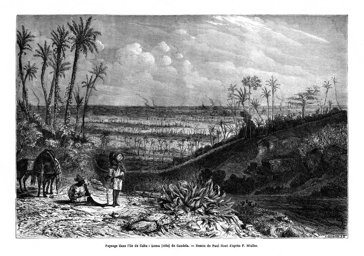 Krajina na ostrově Kuba, 1859 od Paul Huet