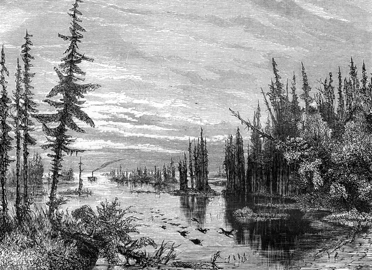 Oblast tisíce ostrovů, Ontario, Kanada, 19. století. od Paul Huet