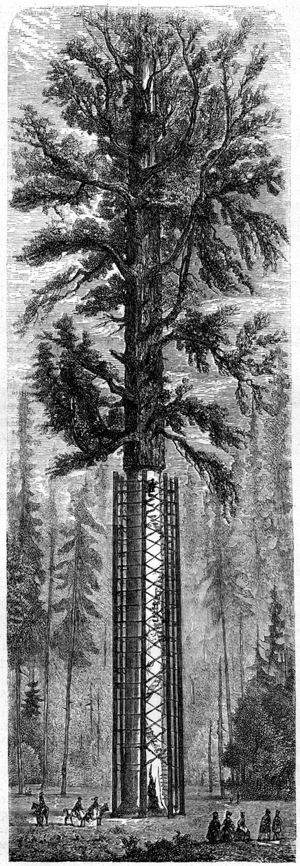 Yosemitský národní park, Kalifornie, 19. století. od Paul Huet
