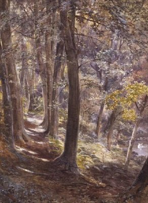 Woodland Glade od Paul Jacob Naftel