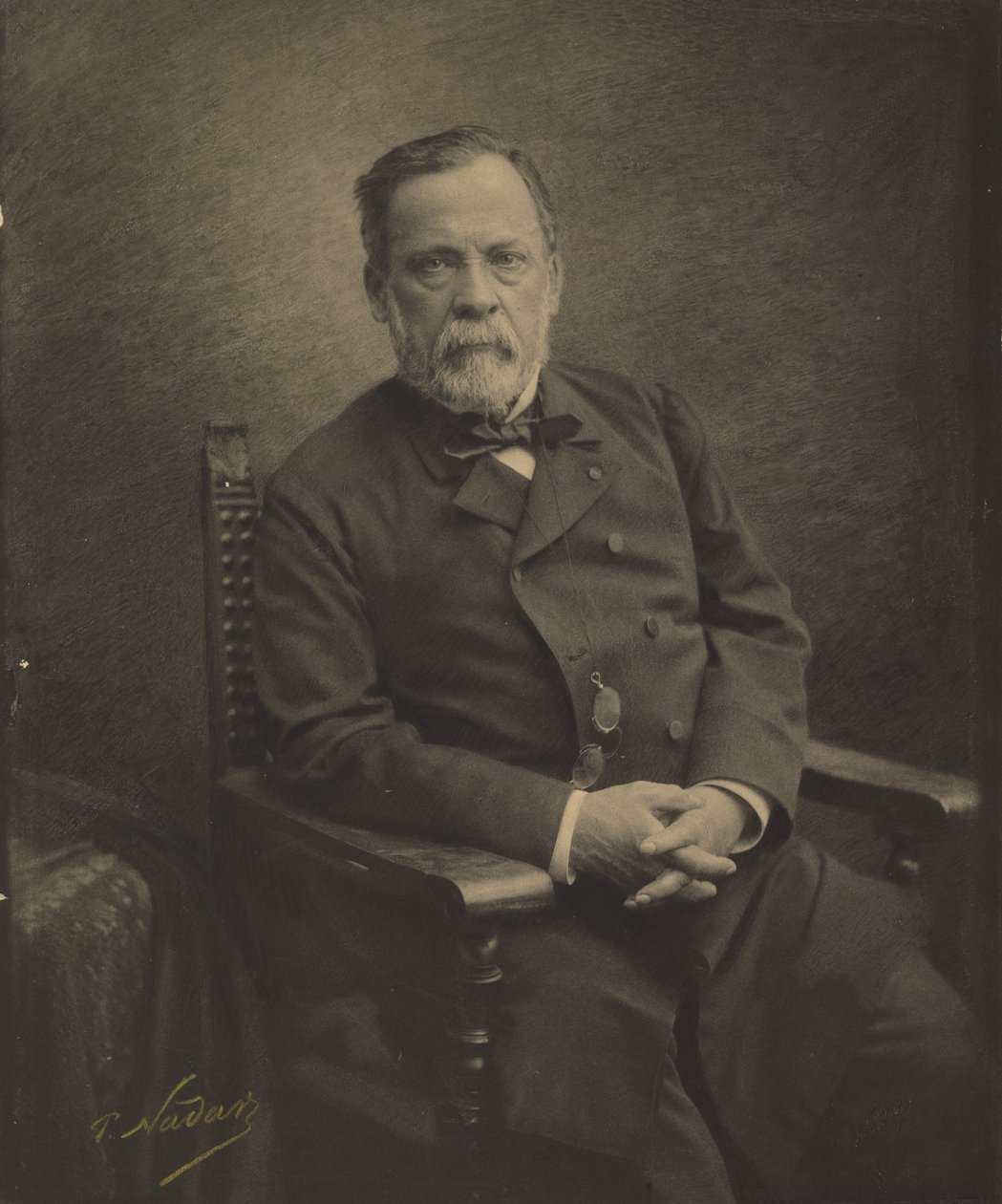 Louis Pasteur od Paul Nadar
